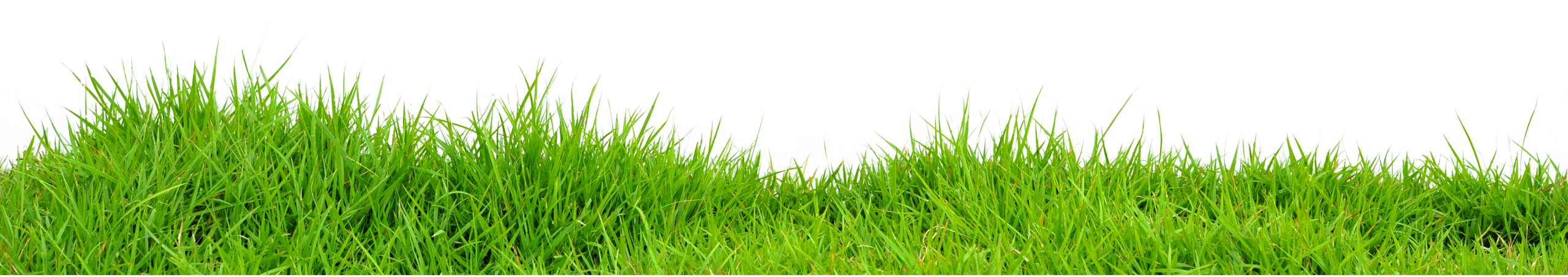 grass gophers