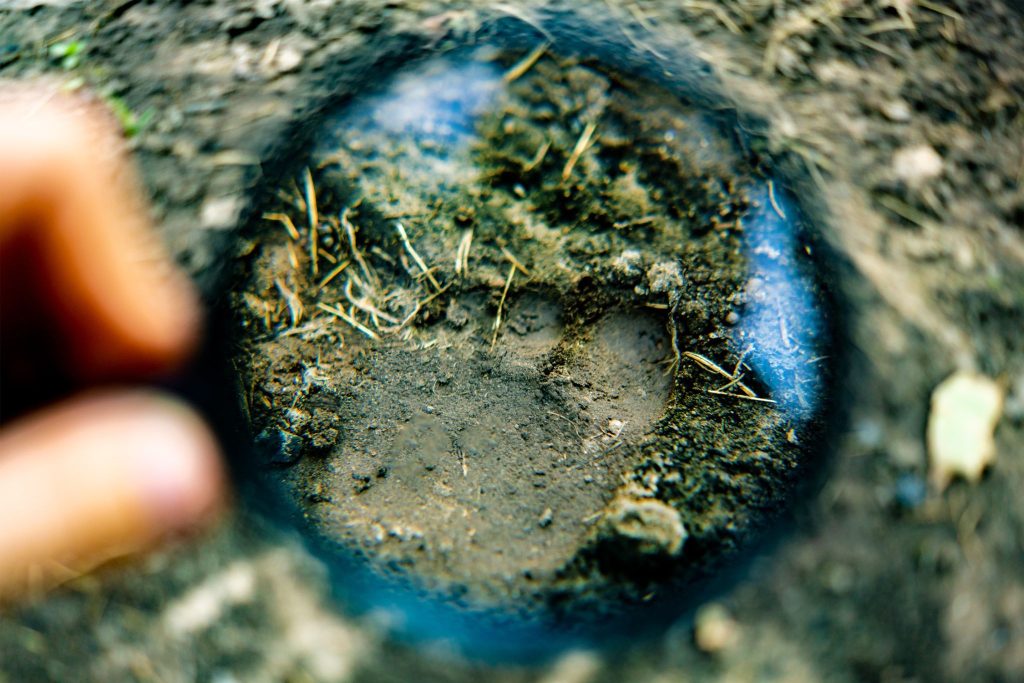 Pest control inspection showing footprint in soil under a magnifying glass