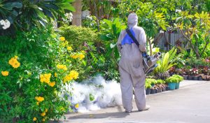 Mosquito control specialist treating a front yard garden with targeted chemical application