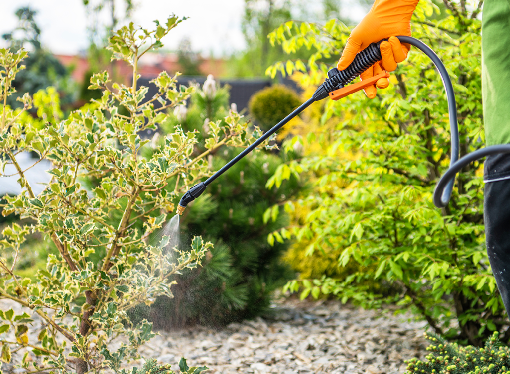 non-toxic pest control residential