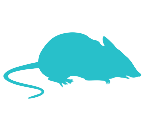 Vole featured icon