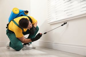 Technician applying indoor pest control treatment inside a residential property to help prevent insects and rodent infestations