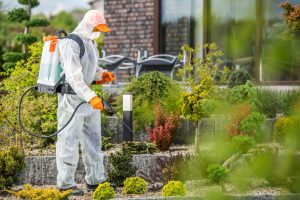 Pest control technician in protective gear spraying garden plants with non–toxic chemical treatments to prevent outdoor infestations