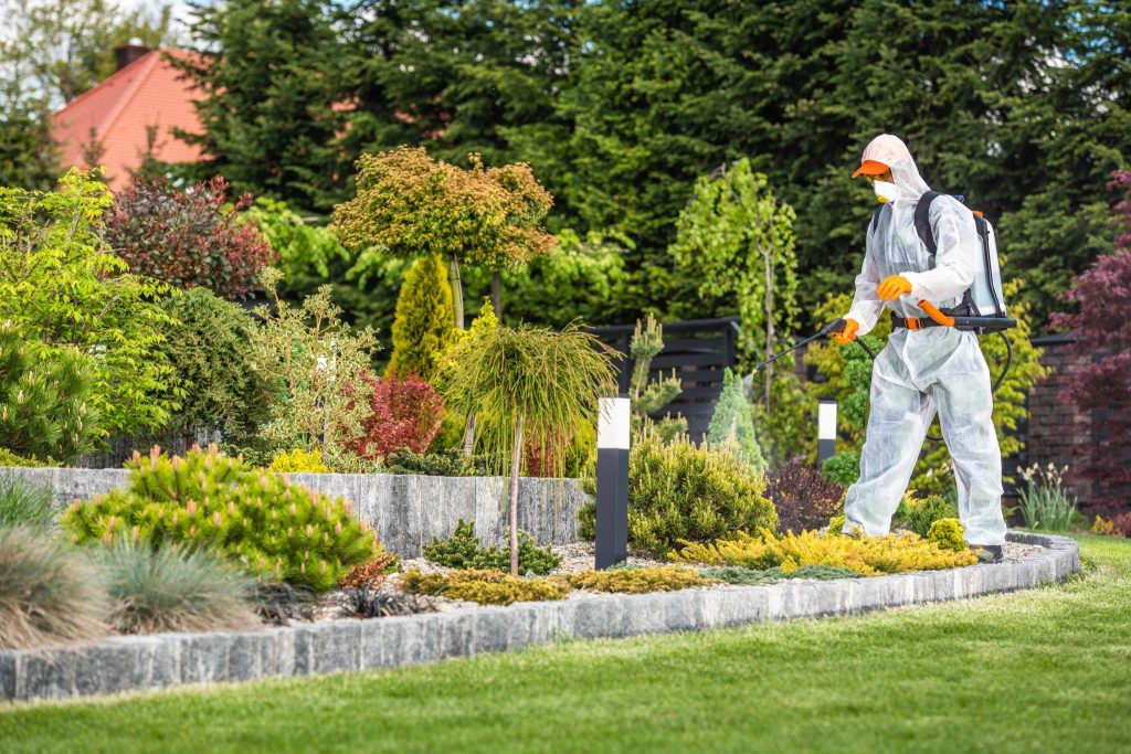 Pest control technician inspecting a property for mosquito activity and breeding sites
